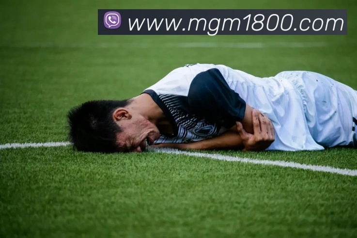 美高梅mgm品牌故事